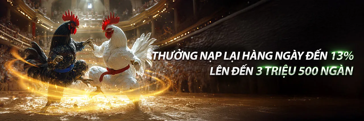 Câu hỏi thường gặp về khuyến mãi 999ok bet