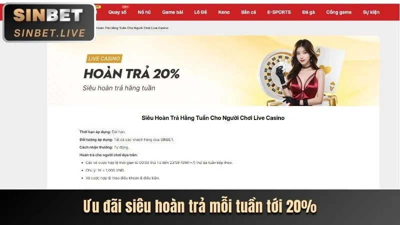 Hoàn trả cao hơn cho thành viên VIP 999ok bet